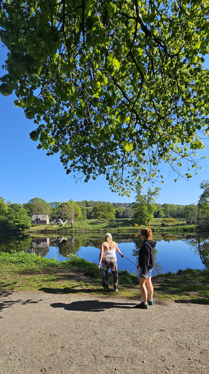 Northstar tweet media