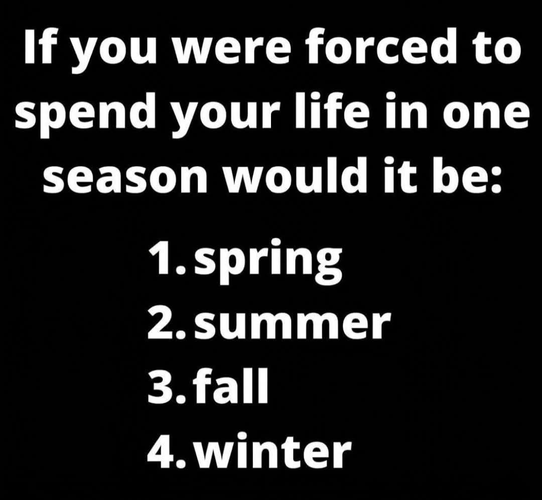 Geeky Zombie King tweet media