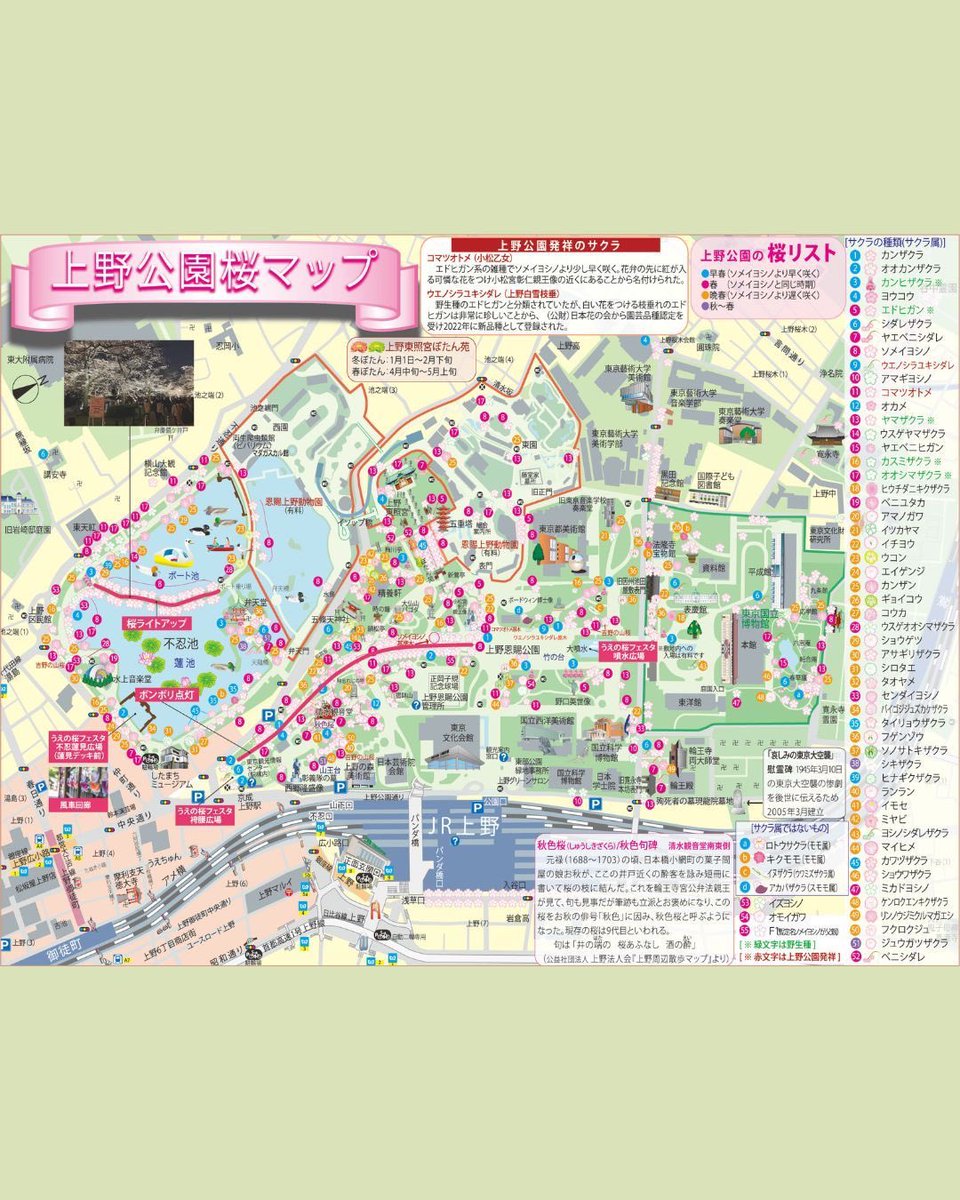 uenokanko's tweet photo. 🌸第77回うえの桜まつり開催！🌸
春の上野を代表するイベント
「#うえの桜まつり」 が今年も開催されます。

📅 3月14日(土)〜4月5日(日)
📍 #上野恩賜公園 https://t.co/gl0KxMXVAj