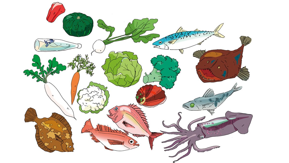 カシワイ　『植物園の歩き方』発売中🌴 tweet media