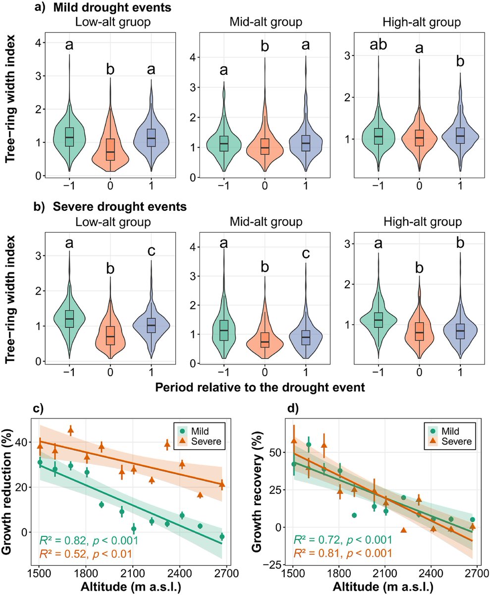 Osbert Sun tweet media