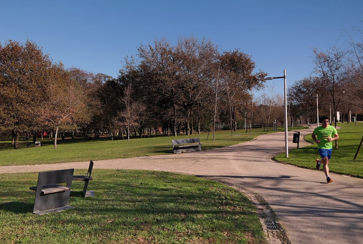 CCDR NORTE tweet media