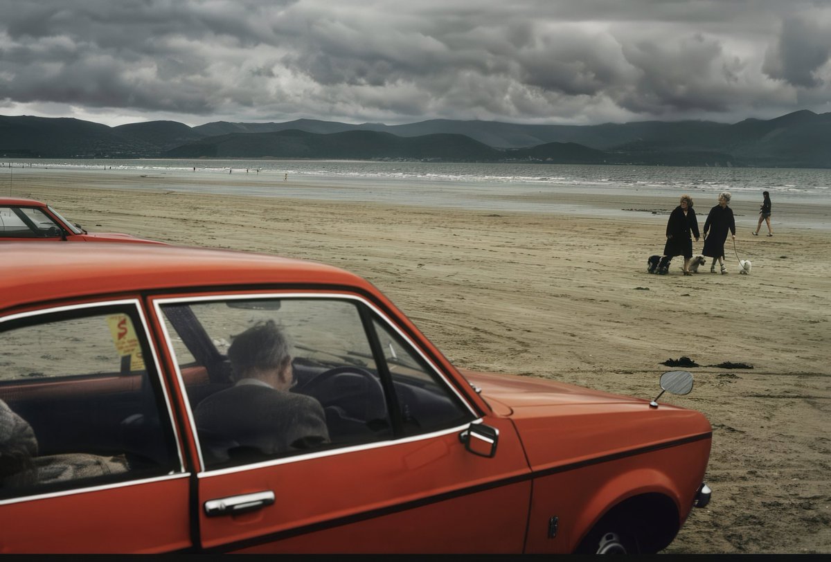 AN🌱NA tweet media