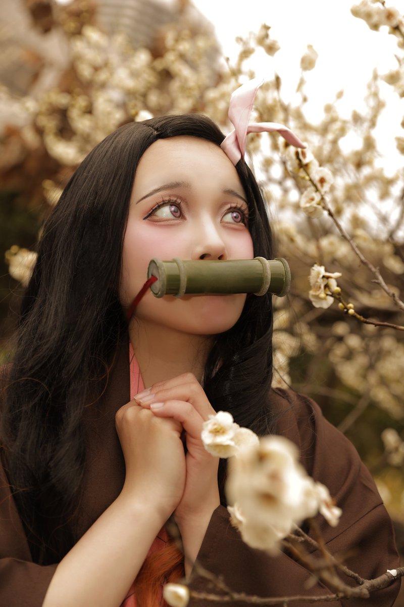 りぼん tweet media