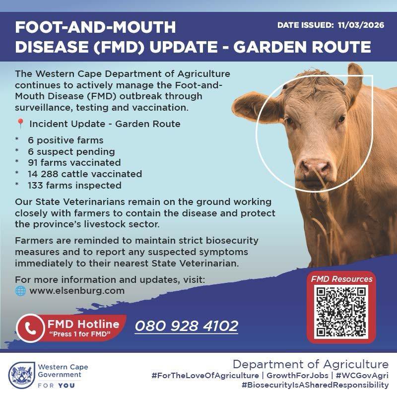 Premier Alan Winde tweet media