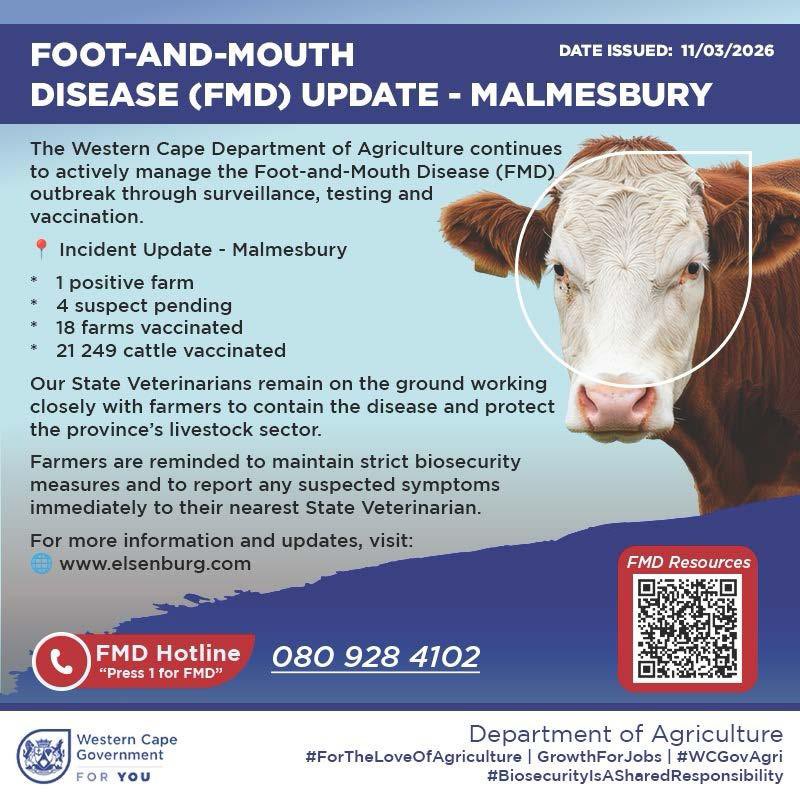 Premier Alan Winde tweet media