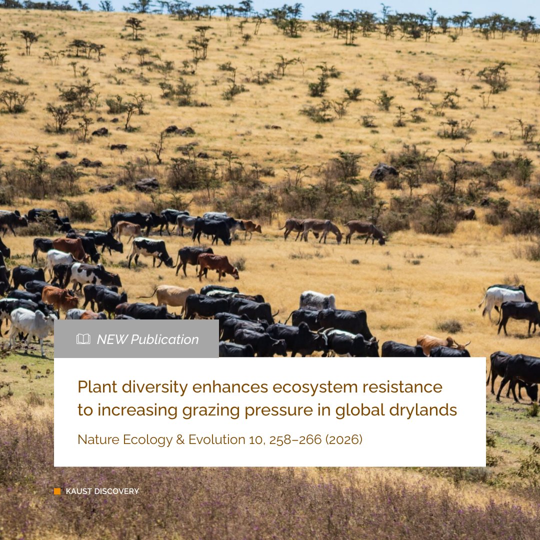 KAUST BESE tweet media