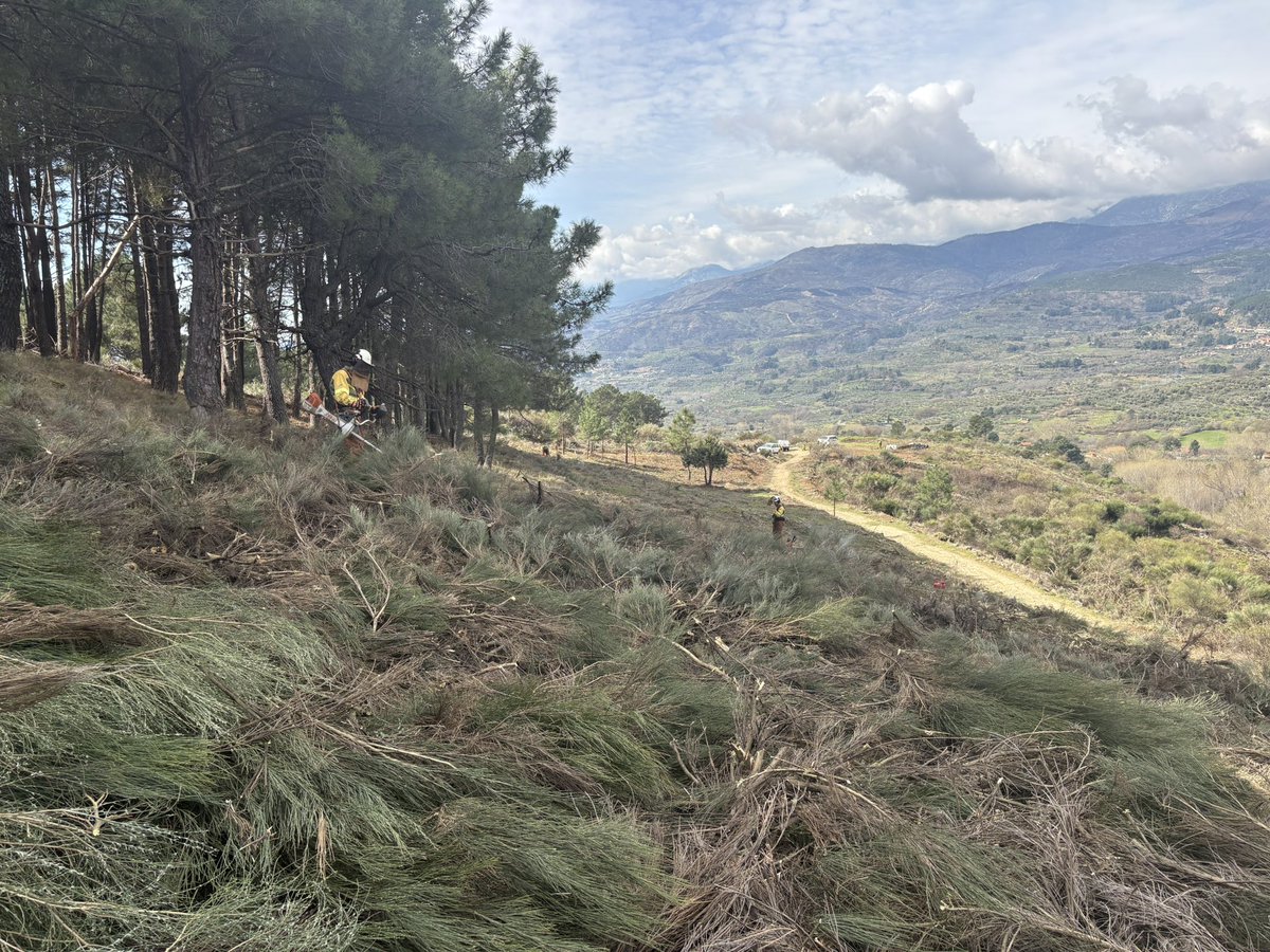 BRIF Puerto el Pico tweet media