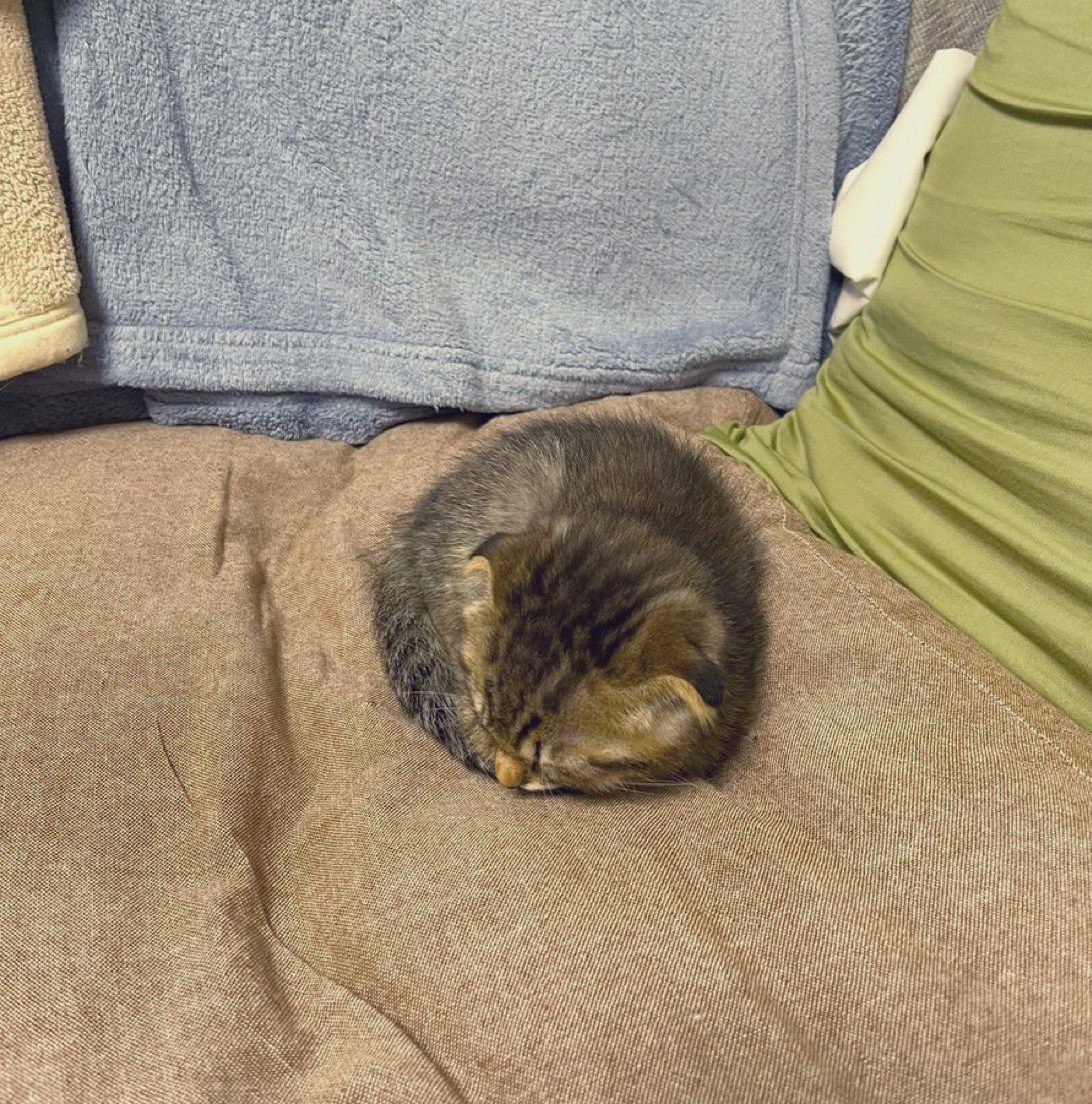 ま ぁ る い の が 落 ち て る 。。。