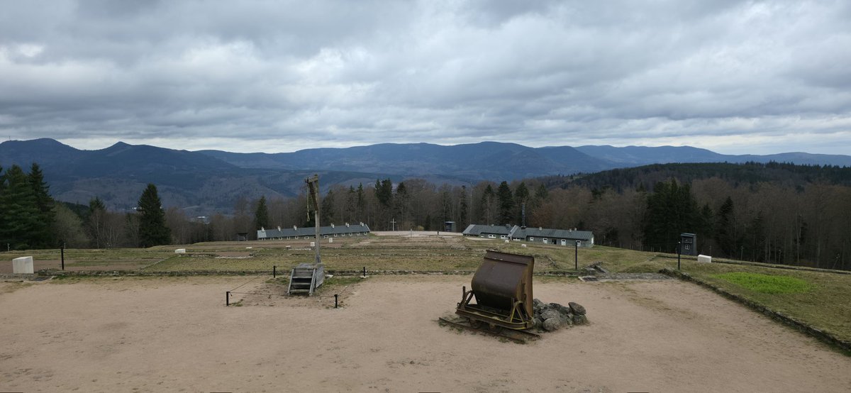 Tobias Menzi 📯🇺🇦🏳️‍🌈 tweet media