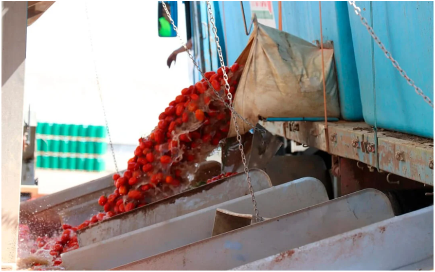 Cooperativas Agro-alimentarias Extremadura tweet media