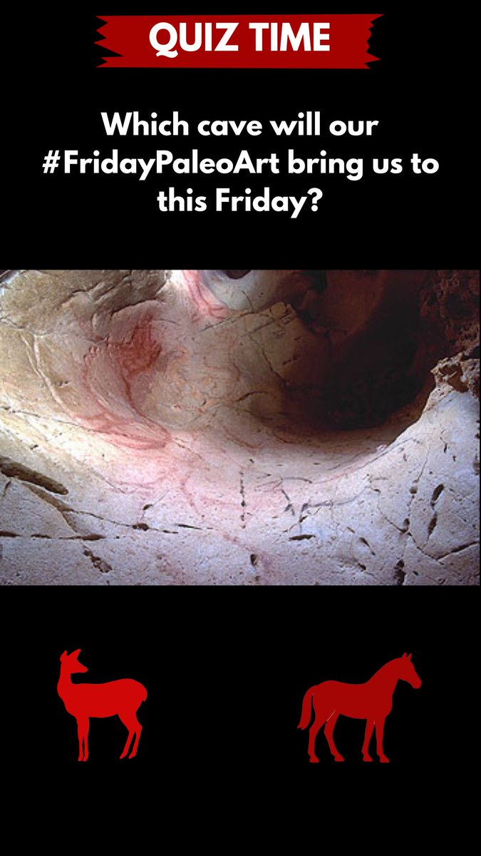 PreGraphity tweet media