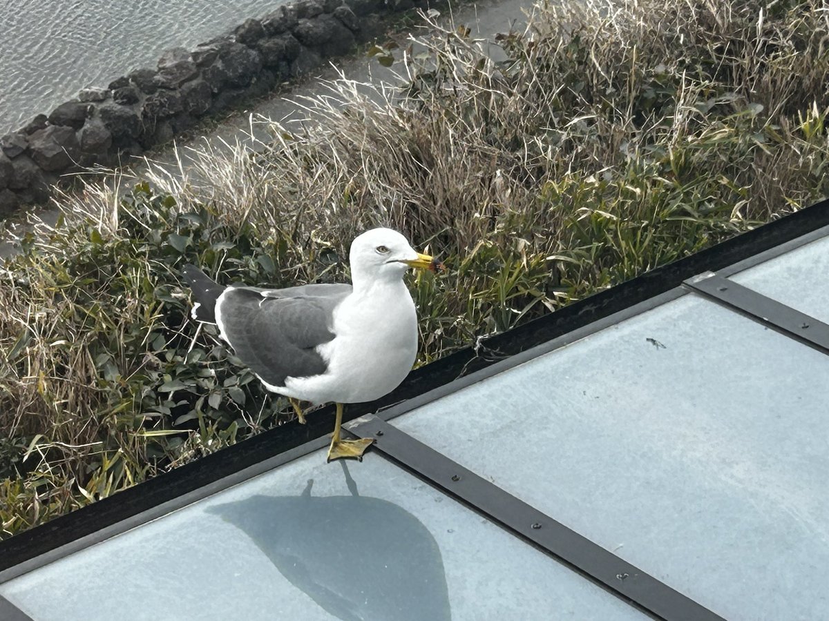 元・FMひらかた（周波数FM77.9MHz） tweet media