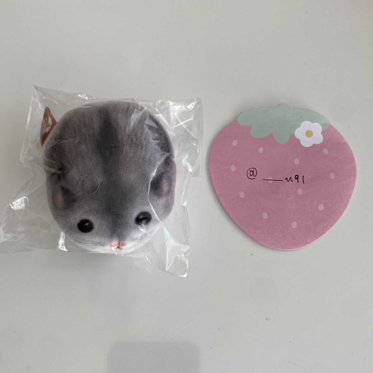 かに座 tweet media