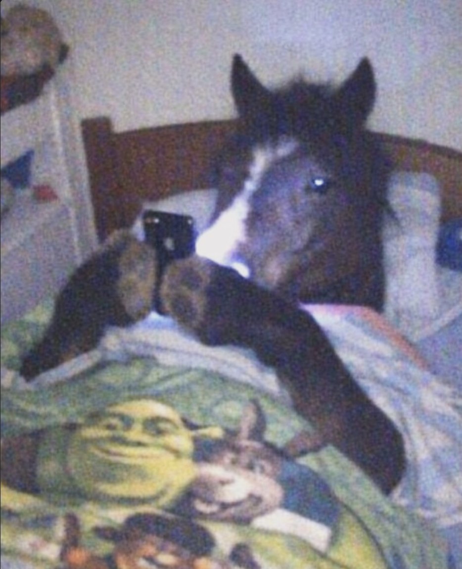 Brighter... tweet media