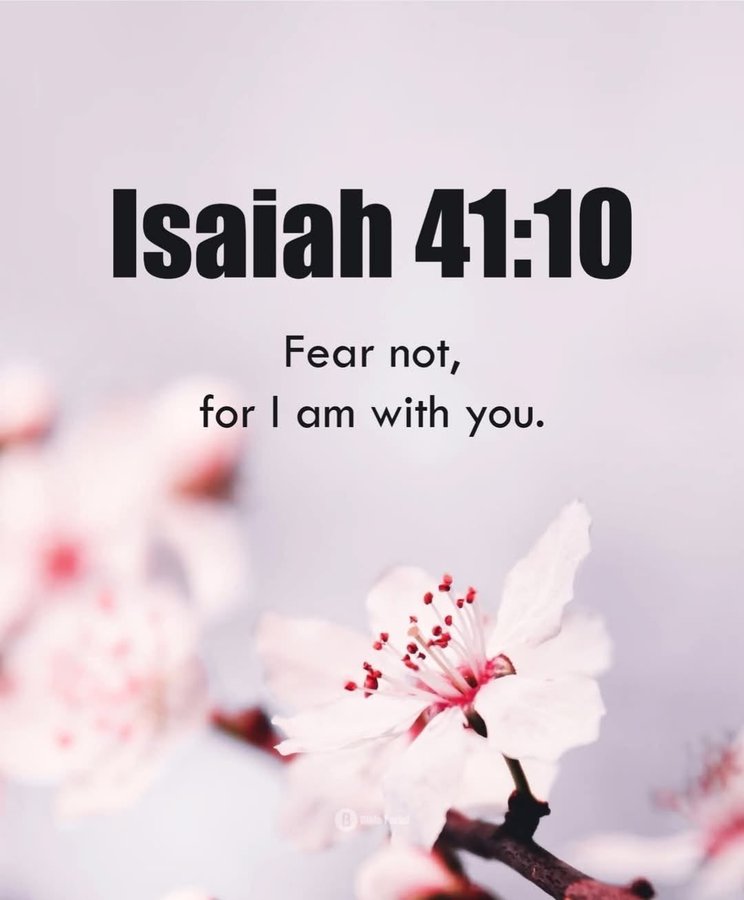 Bible 365 tweet media