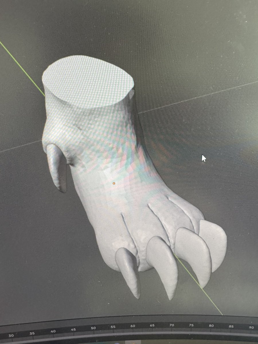 Moose (Differmitt) 🔜 TFF tweet media