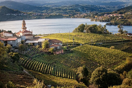 Stop Eólicos A Limia Xurés Celanova tweet media