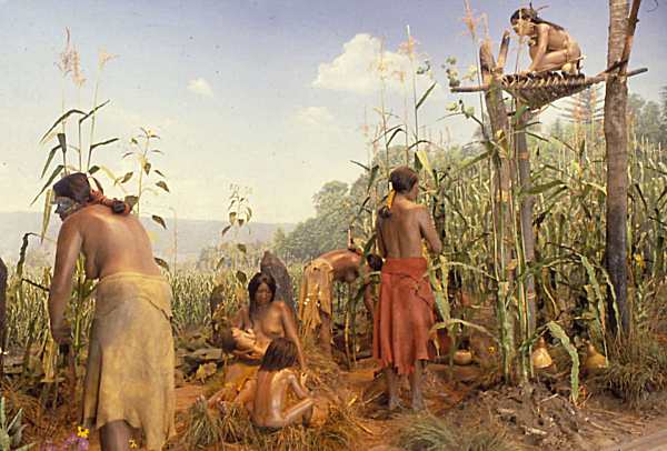 ArchaeoHistories tweet media