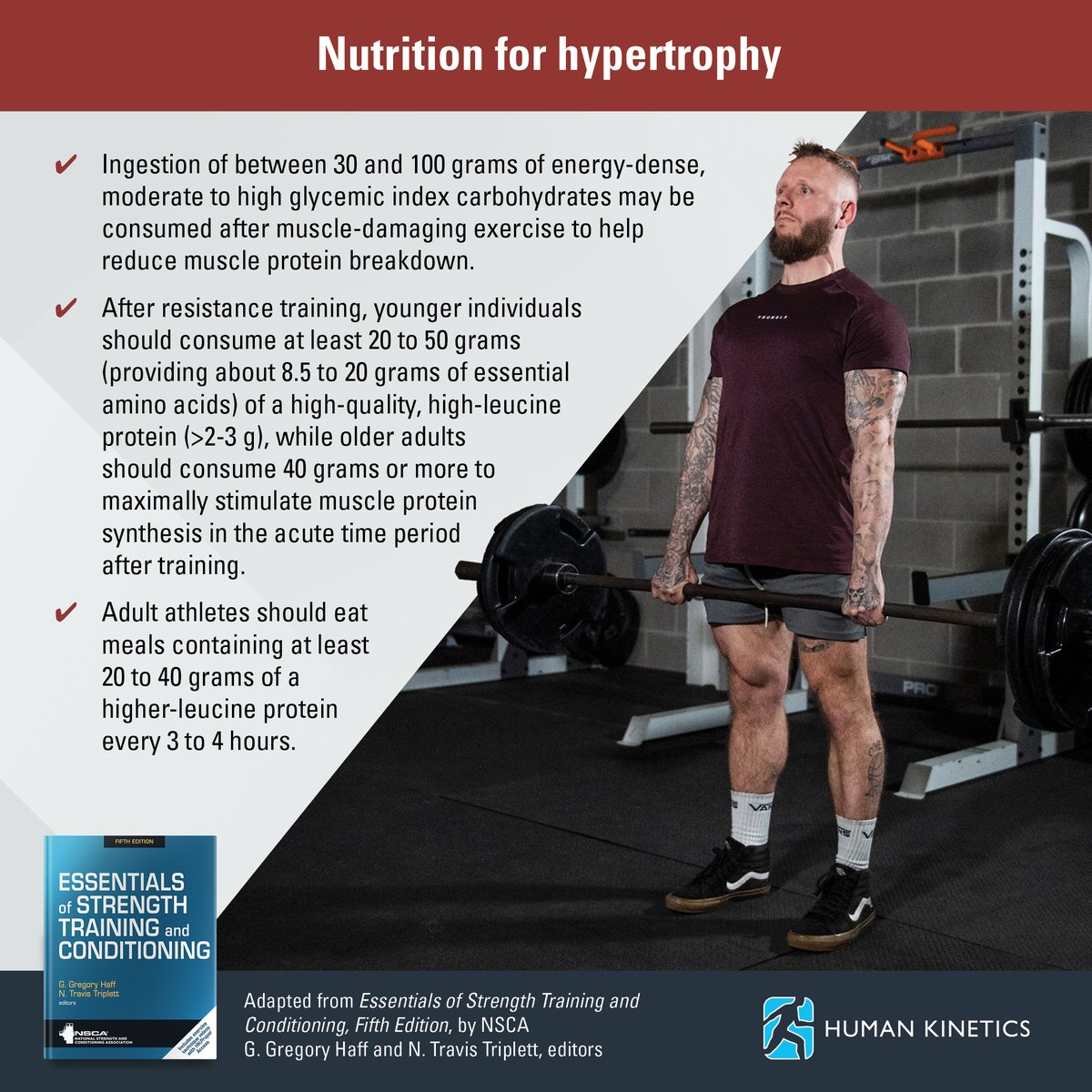 HumanKineticsEU's tweet image. Do you know how many carbohydrates or how much protein you should eat for hypertrophy training? 
🍝🍞🍚

🏋️ Learn more in the new fifth edition of @NSCA's  Essentials of Strength Training and Conditioning:

🔗 bit.ly/4s7KPWu

#Strength #Training #Carbs