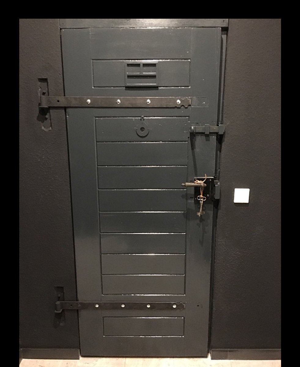 Miss Medusa tweet media