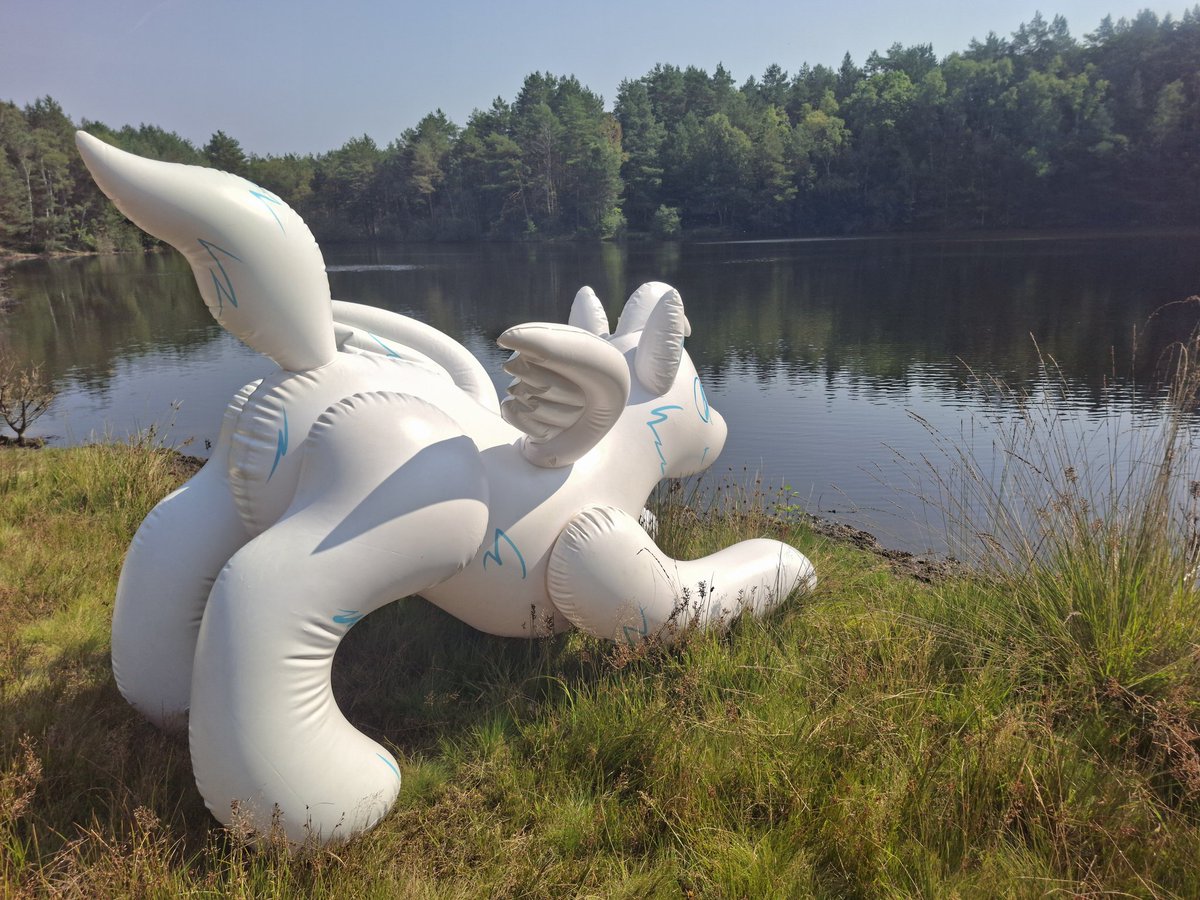 SchorseWolf tweet media