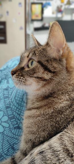 Варкоцік 🎀 tweet media