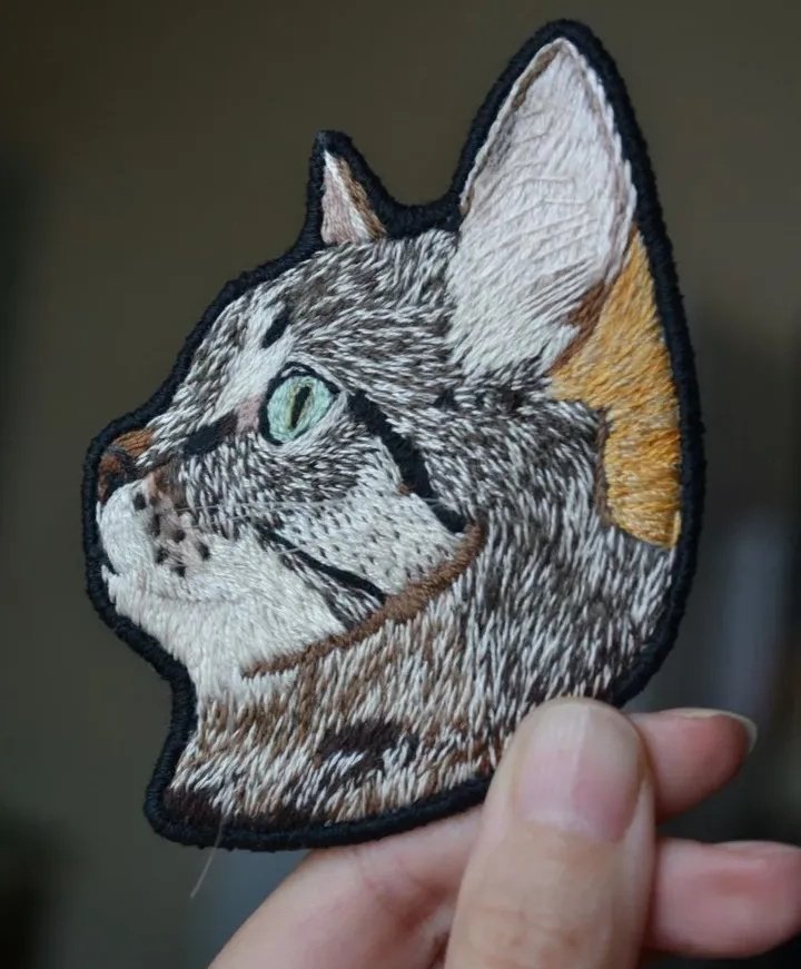 Варкоцік 🎀 tweet media