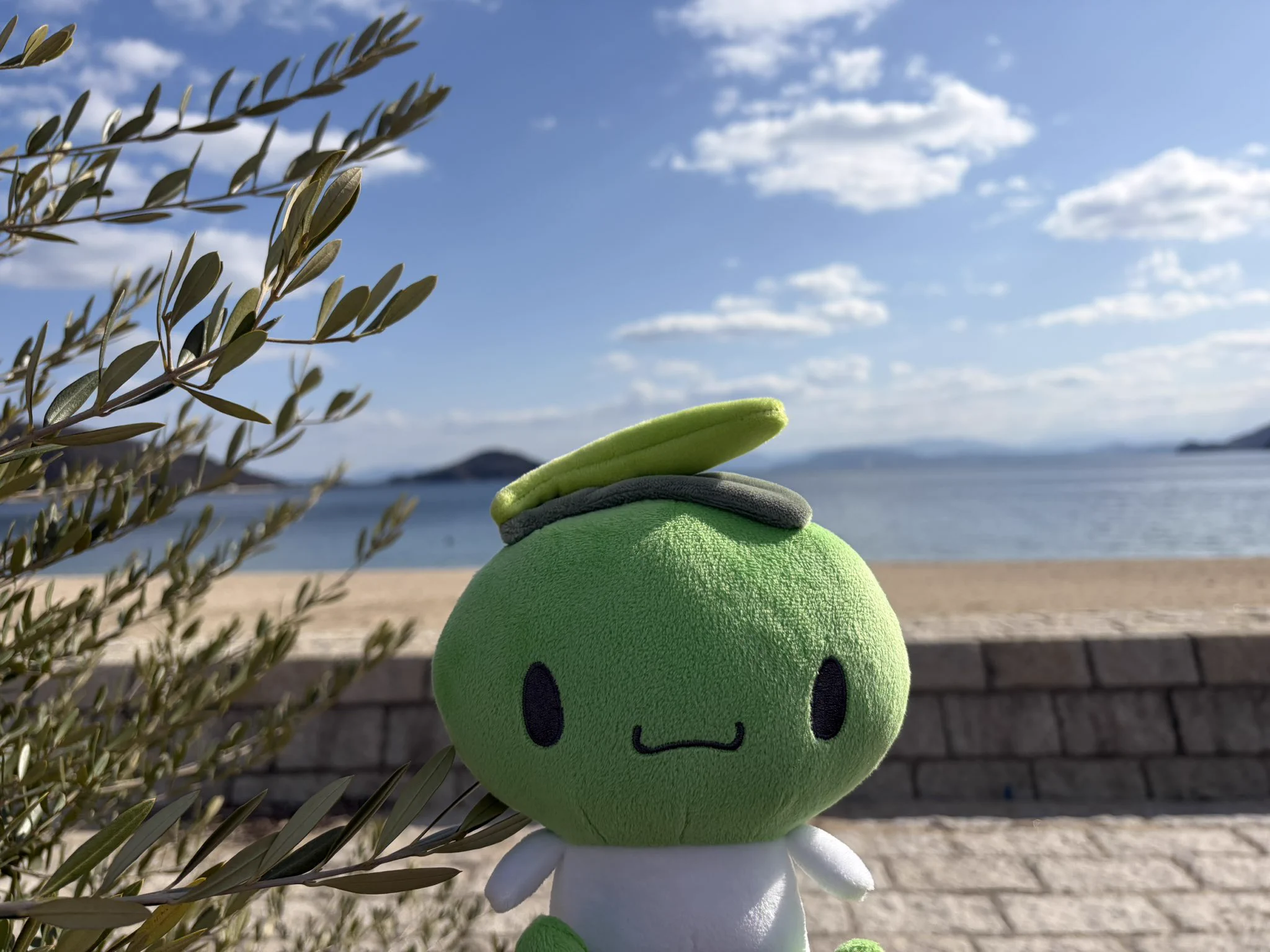 オリーブしまちゃん公式【香川県・小豆島】 auf X: „今日は、東日本