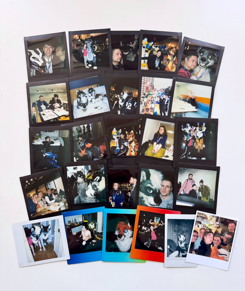 Tungsten Cube Kitty (@EF) tweet media