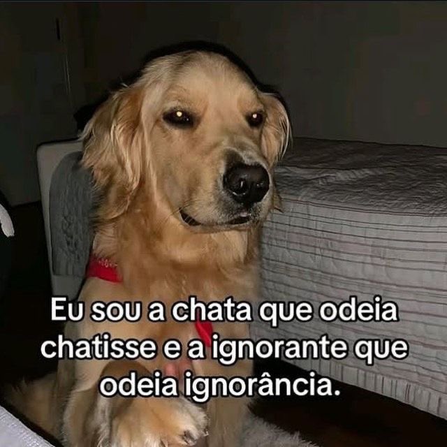 Pagina lixo (@paginalixo1) on Twitter photo 