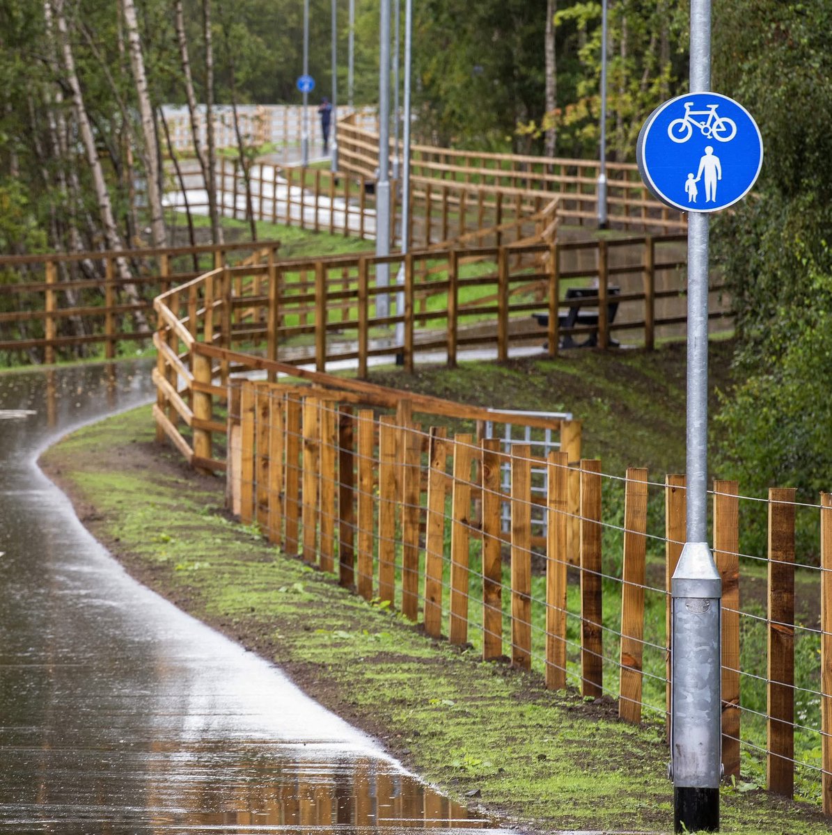 Northern Corridor Community Volunteers 🌳🌲 tweet media