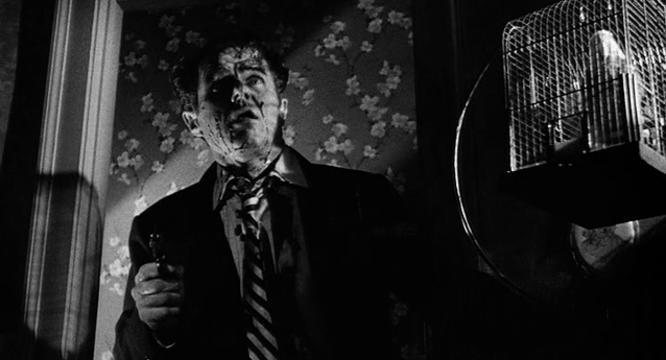 Tony McK 🏴󠁧󠁢󠁳󠁣󠁴󠁿 ||*|| tweet media