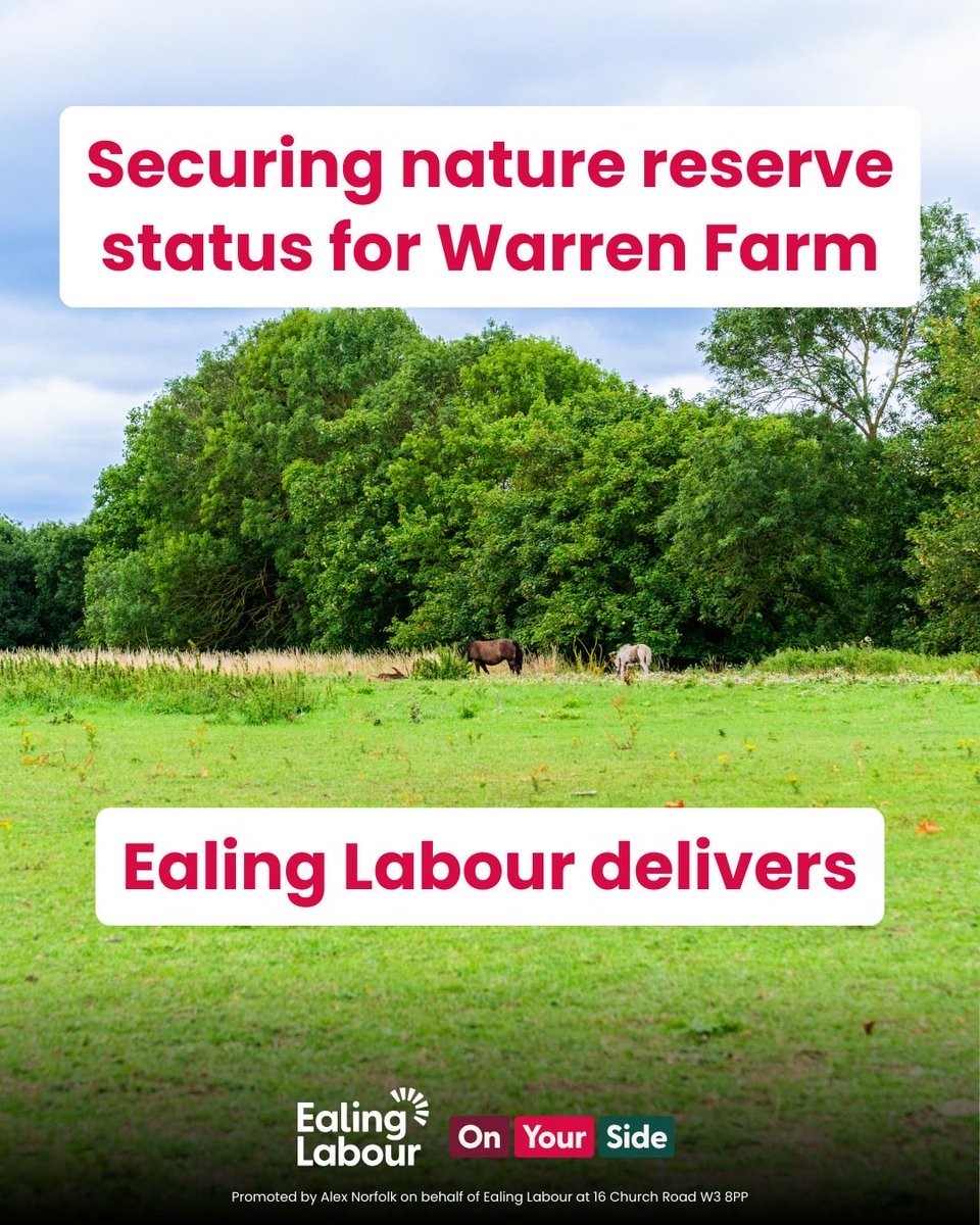 Peter Mason tweet media