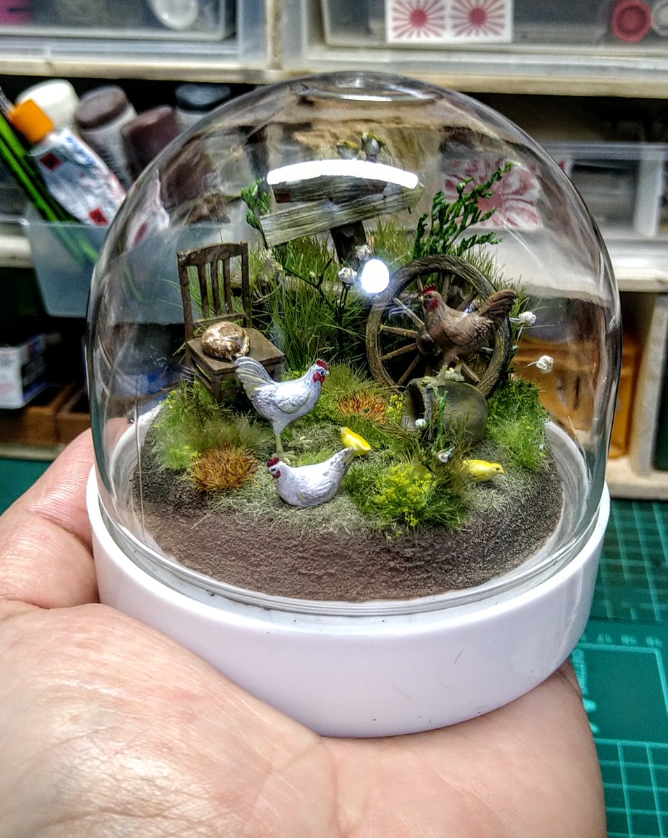 かぼす 〜修行中〜 tweet media