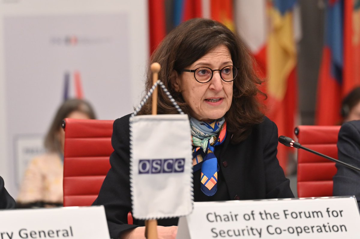 ItalyatOSCE's tweet image. #FSC Security Dialogue under @RP_France_OSCE Chairperson focused on 30th anniversary of the Subregional Arms Control Agreement art.IV Annex 1-B of #Dayton GFAP in 🇧🇦.

🇮🇹underlined the relevance of this success story-facilitated by @OSCE in the current geopolitical context.