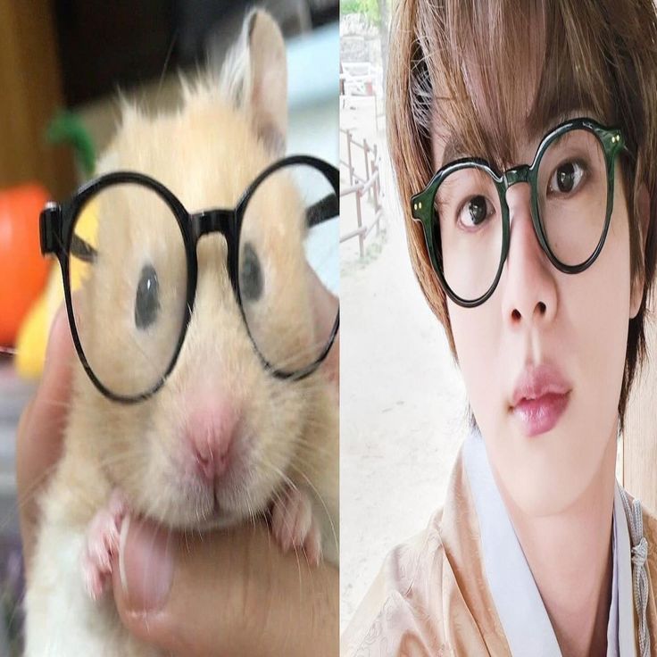 hamjin bot tweet media