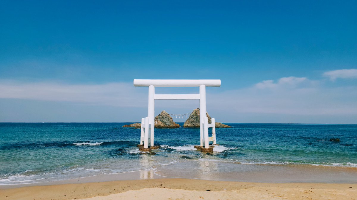 BunnybitsVT tweet media