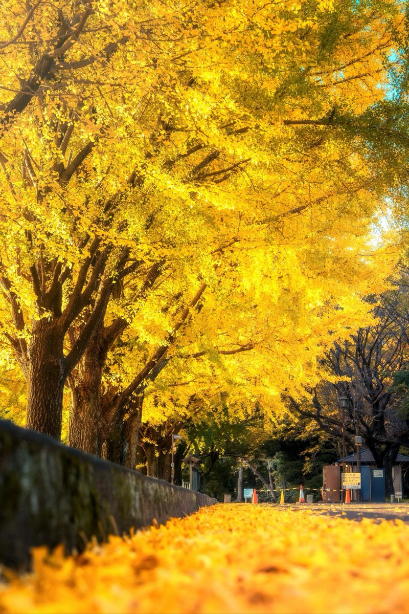 Tahir kaleli tweet media