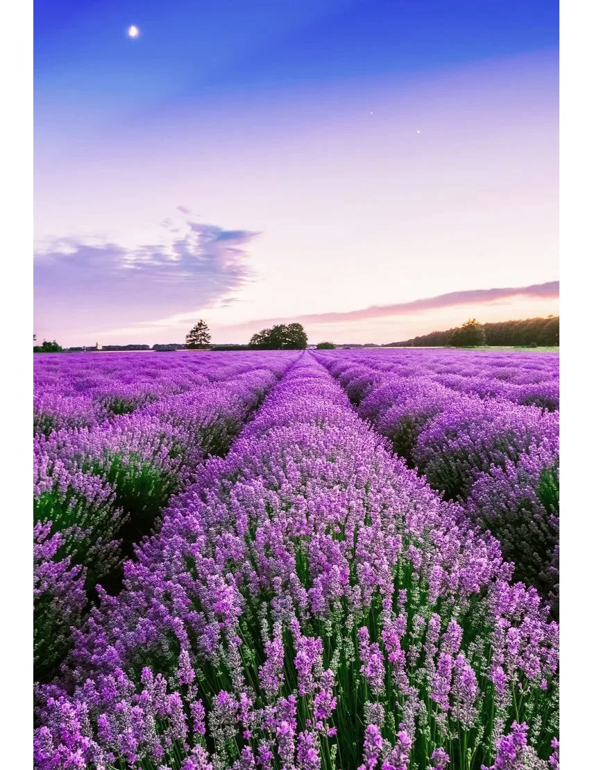 Transaction Advisor tweet media