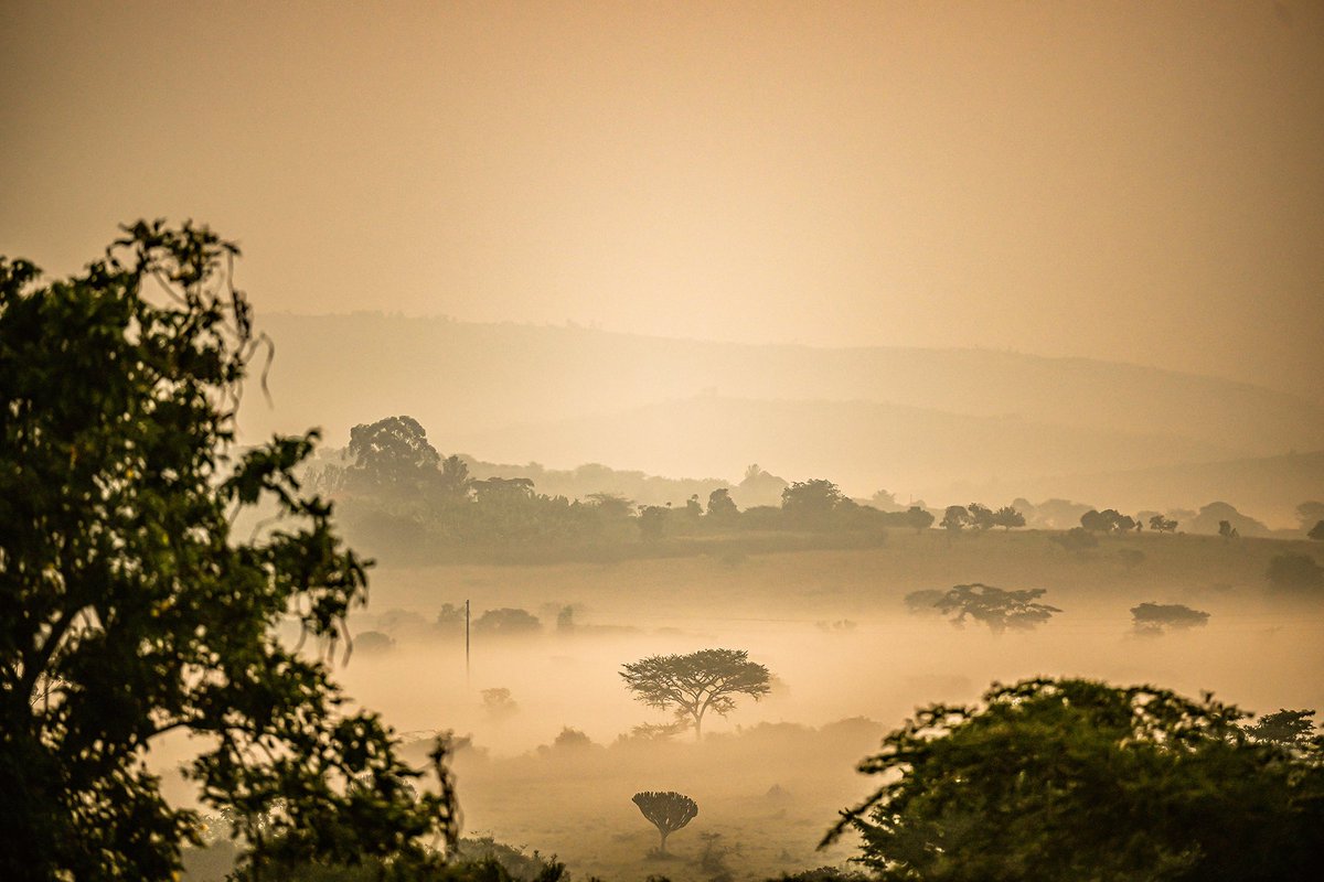 Atlas Dergisi tweet media