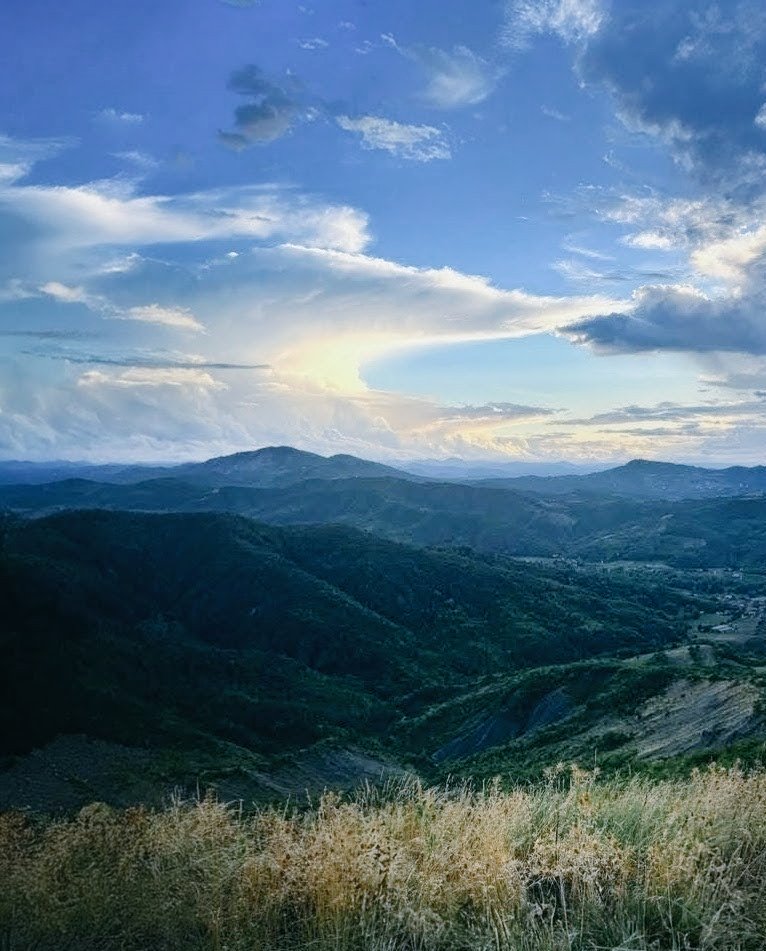 Stella T. tweet media