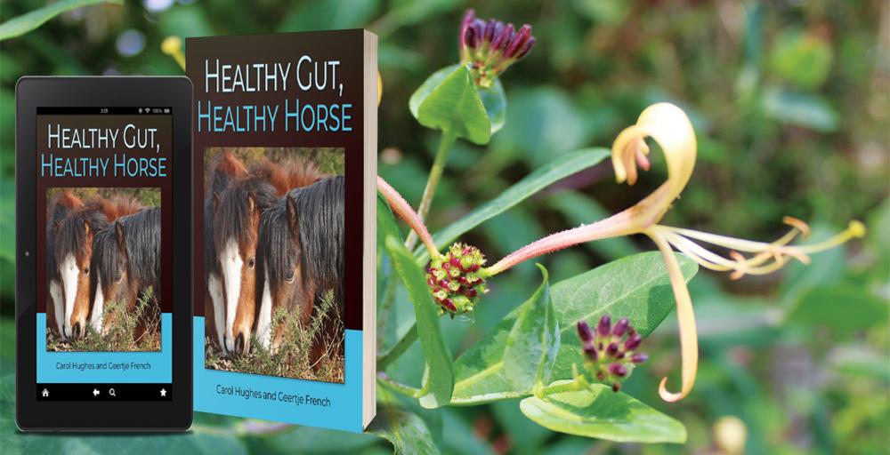 Quiller Publishing tweet media