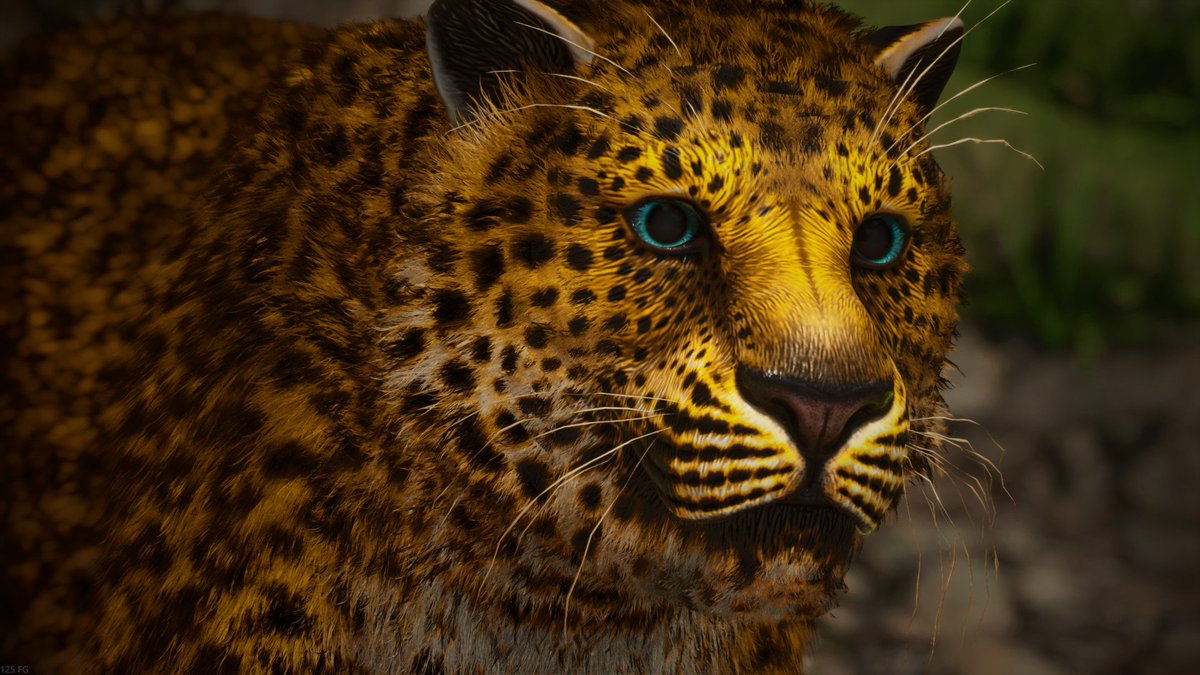 Rebecca 🦖 tweet media