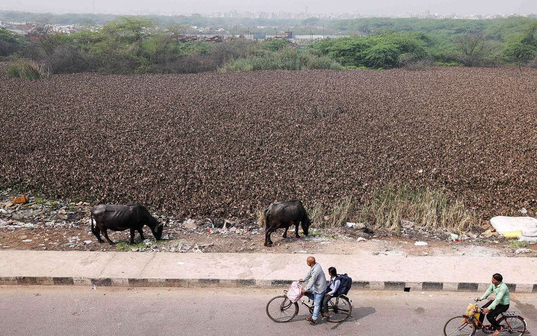 Down To Earth tweet media