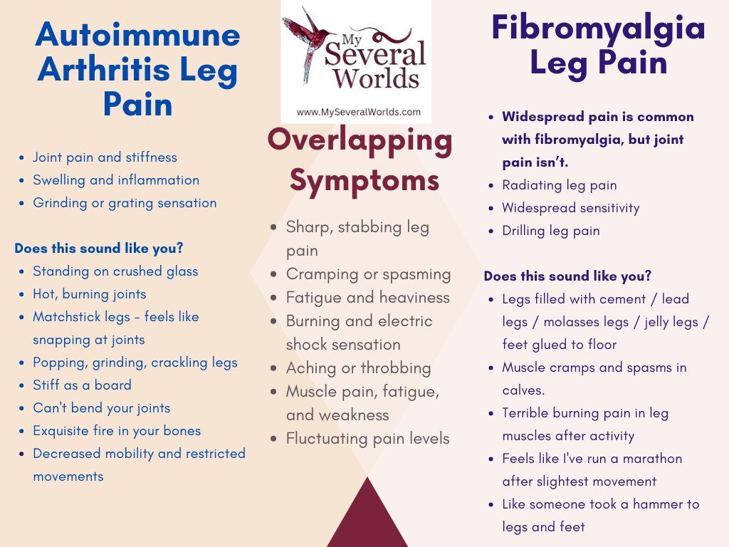globetrotteri's tweet image. "Learning how to live with extreme leg pain is a brutal life lesson that can often feel like you have no control over. In time, however, you might find yourself being able to work around it."  

Leg pain: Arthritis &amp;amp; #Fibromyalgia
🔗
myseveralworlds.com/2025/01/24/art…

#ChronicPain