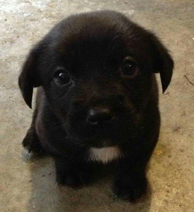 nokch☆ tweet media