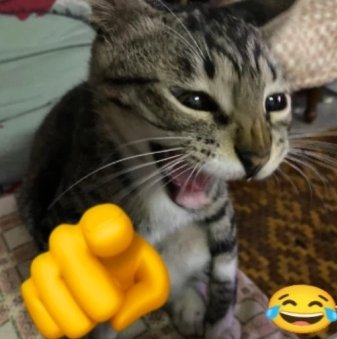 saturrns. tweet media