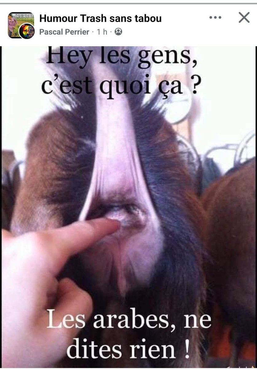 serresmickael's tweet photo. @LouFrance75 https://t.co/OCM7gzS64k