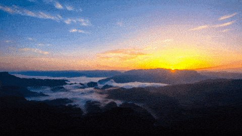 -Trading Advisor- tweet media